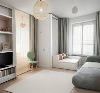 Living room in a three-room apartment with a sofa, bookshelf, and large window.