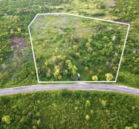 Plots - commercial in Kizimkazi, Unguja South; road lined with vegetation, delineated by a white line.