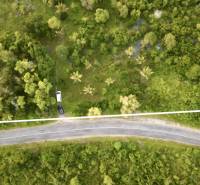 Greenery with defined boundaries of the plot in Kizimkazi, Unguja South area.