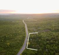 A road leading to the coast near plots in Kizimkazi, Unguja South at dusk. Commercial use.