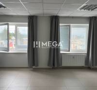 The interior of an office with light walls, windows, and curtains.