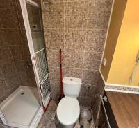 A bathroom in a holiday apartment with a toilet, shower, and part of a sink.