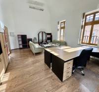 Office with wooden flooring, leather chair, and large windows, bright interior.