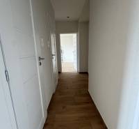 A narrow hallway leads to rooms with light-colored doors in a 2-room apartment.