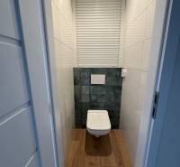 A bathroom in a 2-room apartment with a wooden floor and a tiled wall.