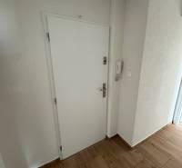 White doors in a 2-room apartment with wooden flooring and an intercom.