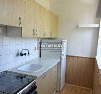 A kitchen in a studio apartment with wooden cabinets, a stove, and a white refrigerator.