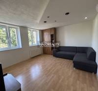 Living room with a dark sofa, wooden floor, and two windows in a studio apartment.