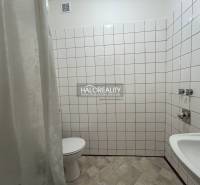 Shower corner and toilet in a studio apartment; functionality, tiles, light colors.