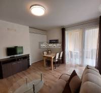 Living room in a studio apartment with a sofa, table, and TV.