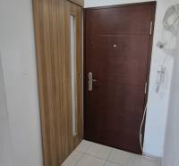 Entrance hall with wooden doors and tiled floor in a studio apartment.