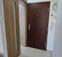 Entrance hallway in a one-room apartment, wooden door, white walls, and tiles.