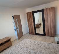 A bright room with a double bed, a wardrobe, and wooden furniture in a studio apartment.