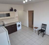 A kitchen in a studio apartment with furniture, a washing machine, and a refrigerator.