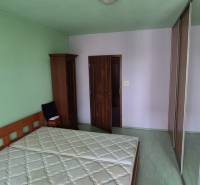 A bedroom with green walls, a wooden bed, and a large built-in wardrobe in a studio apartment.
