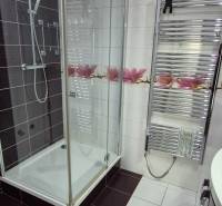 Bathroom in a studio apartment with a shower and decorative tiles.