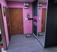 Entrance hall of a one-room apartment with pink walls and wooden doors.