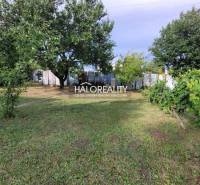 A garden in Nitra with a grassy area, trees, and vines, surrounded by a fence.
