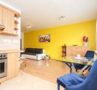 Bright kitchen with wooden cabinets, open space with living room, dining table. 2-room apartment.