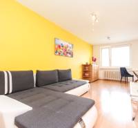 Living room in a two-room apartment with a colored wall, sofa, and television.