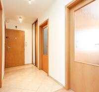 A corridor with wooden doors and tiles in a 2-room apartment.