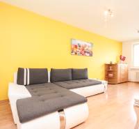Living room in a two-room apartment with a colored wall, a sofa, and a painting above it.