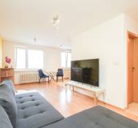 Bright living room in a 2-room apartment with a sofa, TV, and dining table.