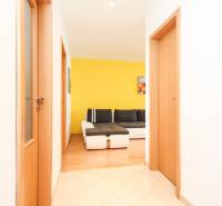 A hallway with wooden doors, view of the living room with a yellow wall in a two-room apartment.
