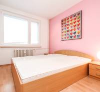 Bedroom with a wooden bed, pink wall, and colorful painting in a two-room apartment.