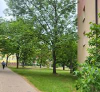 Green park with a walkway on Joliot Curie Street in Poprad, next to a 3-room apartment.