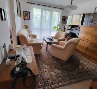 Living room with comfortable seating in a 3-bedroom apartment with large windows and a carpet.