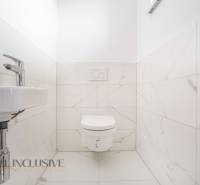 A toilet with a wall-hung bowl and a washbasin in a family house.
