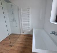Bathroom in a family house with a bathtub and a shower, wooden tiles on the floor.