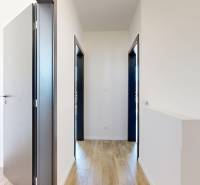 A hallway in a family house with a wooden floor and dark doors.