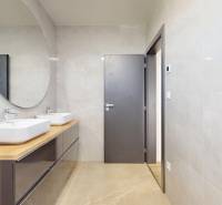 A bathroom in a family house with two sinks, a large mirror, and gray doors.