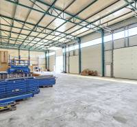 Storage space with shelving units and industrial doors, Commercial premises.