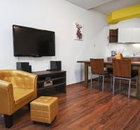 Living room in a two-room apartment with a comfortable armchair and a kitchen in the background.