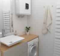 Bathroom with a sink, washing machine, towel, and plant in a 2-room apartment.
