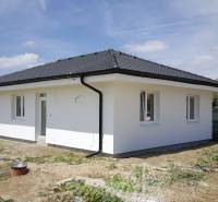 A family house in Western Slovakia with a white facade and a black roof.
