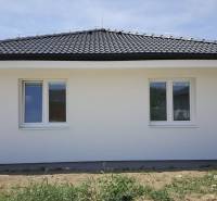 A family house in Western Slovakia with a white facade and a black roof.