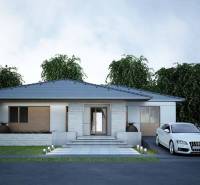 A family house in Western Slovakia with an entrance hall and spacious parking, surrounded by greenery.