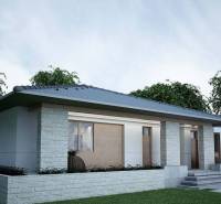 A family house in Western Slovakia with a gable roof and gray facade.