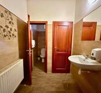Interior of a toilet with wooden doors, a sink, and decorative tiles.