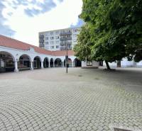 Ármin Vámbéry Square with commercial spaces and trees in the city center.
