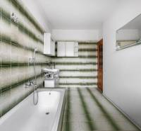 Bathroom in a family house with characteristic green tiles and a bathtub.