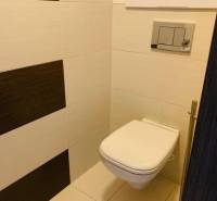 A room with a toilet in a 2-room apartment on Palisády Street, light tiles, dark cladding.