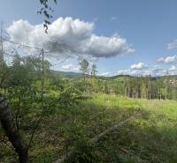 Sale Recreational land, Recreational land, Raková, Čadca, Slovakia