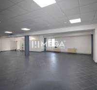 Spacious commercial premises with tiling and lighting, suitable for various uses.