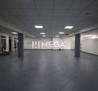Spacious commercial spaces with tiled flooring and lighting.