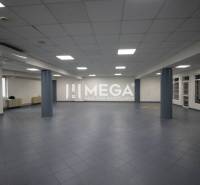 Spacious commercial spaces with large windows and columns.